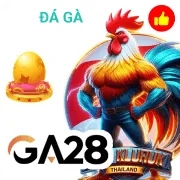 zbet Game 05